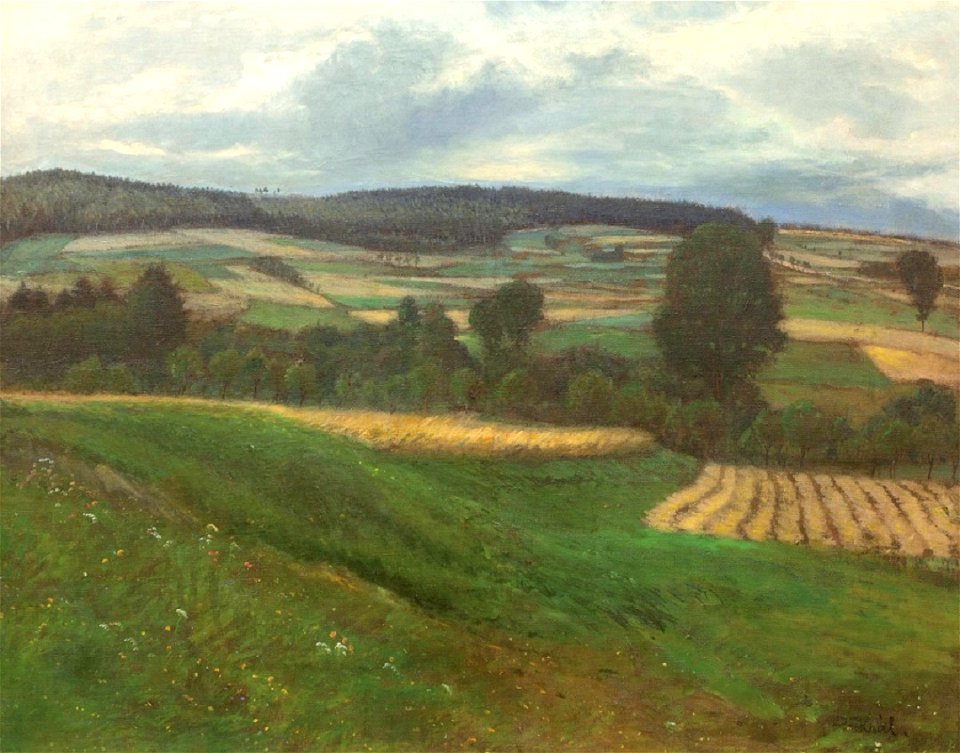 Josef Král Pohled do krajiny