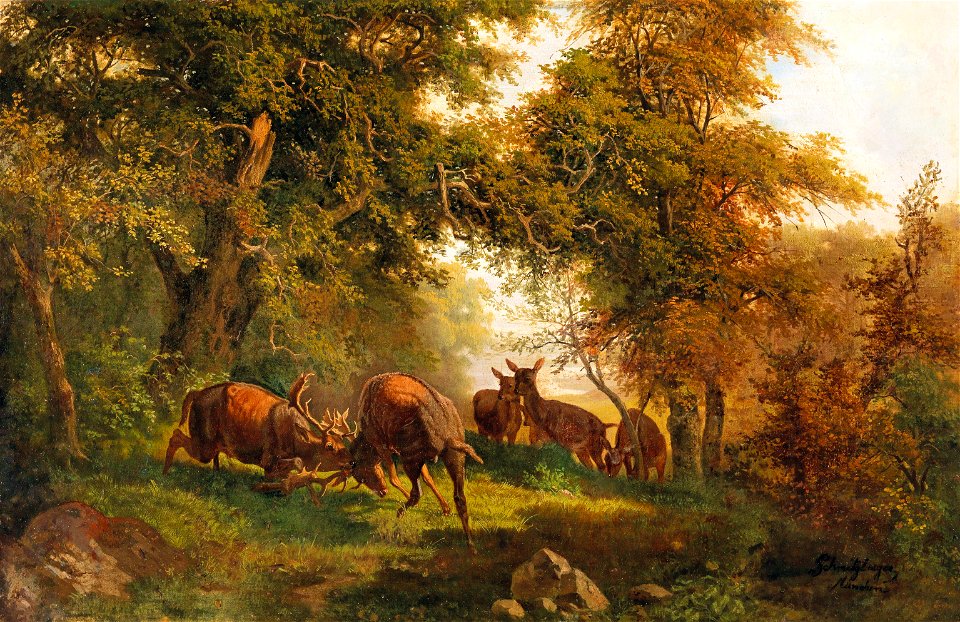 Josef Schmitzberger - Fighting Stags