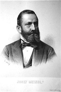 Josef Meindl Litho