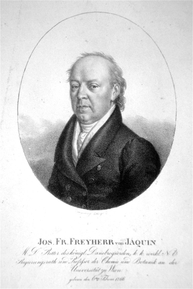 Josef Franz von Jacquin 2 Litho