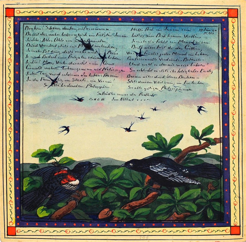 Josef Karl Rädler Vogelbild 1911 06 28 a r