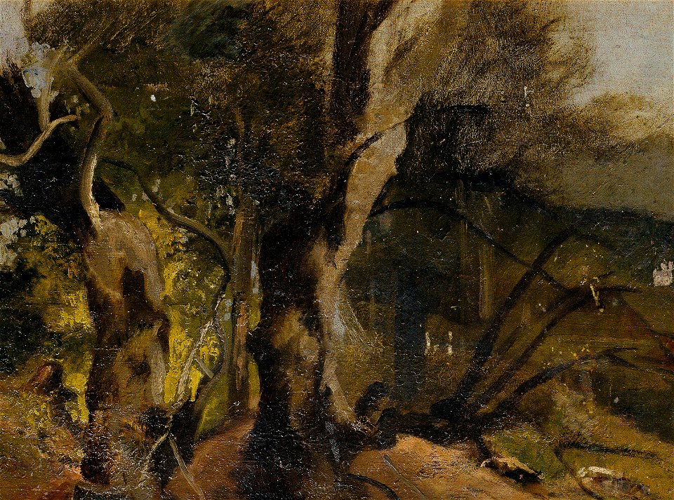 Josef Navrátil - Waldstudie - 4395 - Österreichische Galerie Belvedere