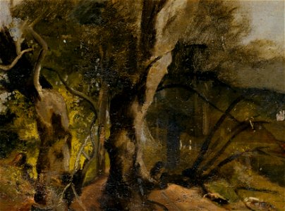 Josef Navrátil - Waldstudie - 4395 - Österreichische Galerie Belvedere