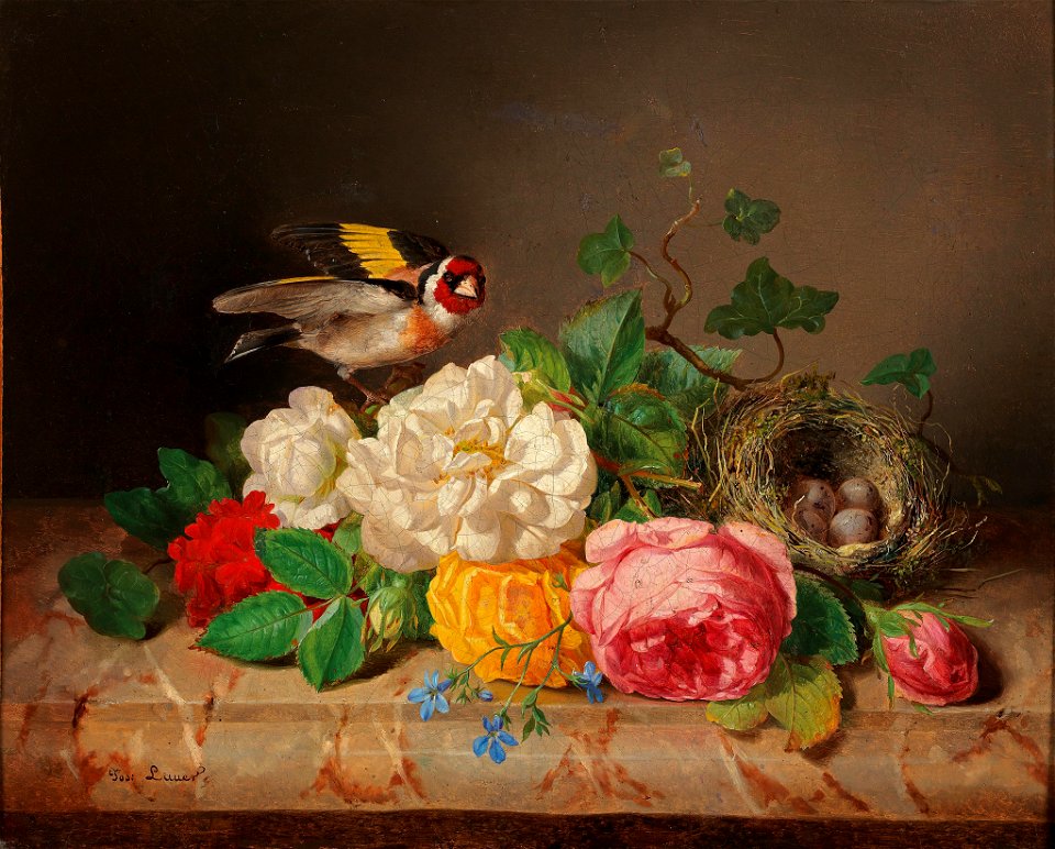 Josef Lauer Rosenstück mit Stieglitz und Vogelnest