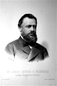 Josef von Wernicki Litho