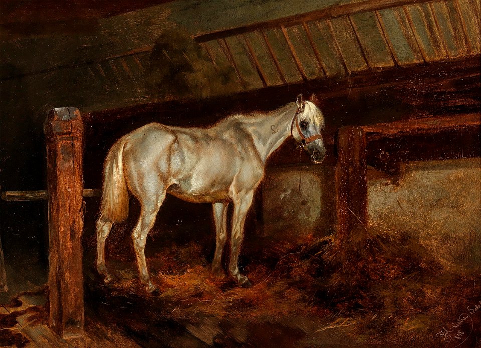 Joseph Heicke Schimmel im Stall