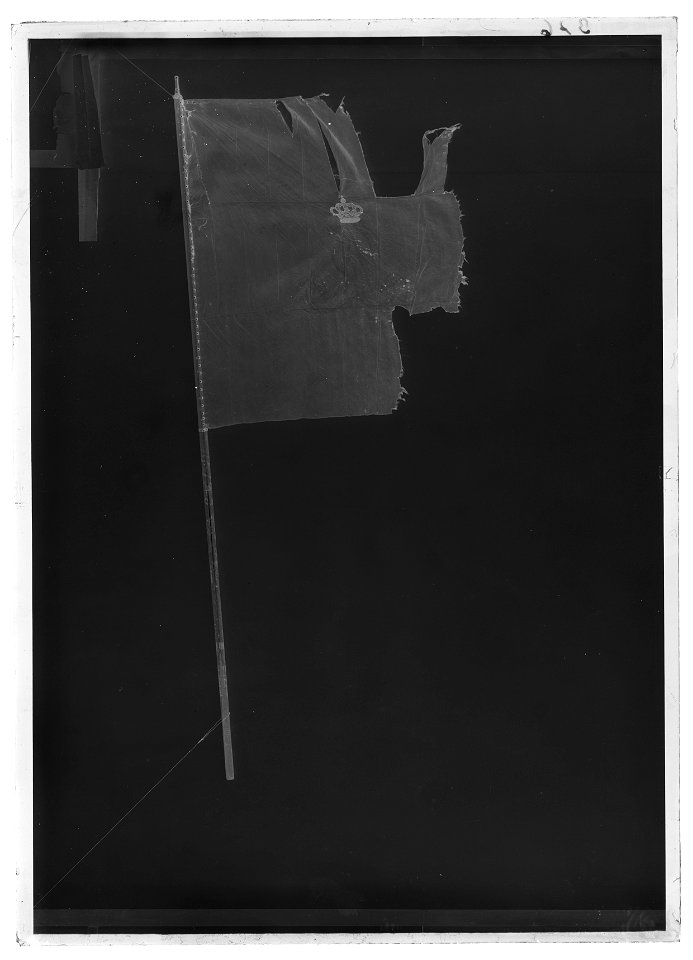 Kompanifana liv-o hustrupper - Livrustkammaren - 68926-negative