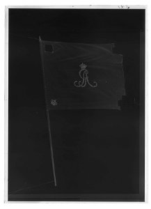 Kompanifana liv-o hustrupper - Livrustkammaren - 17544-negative