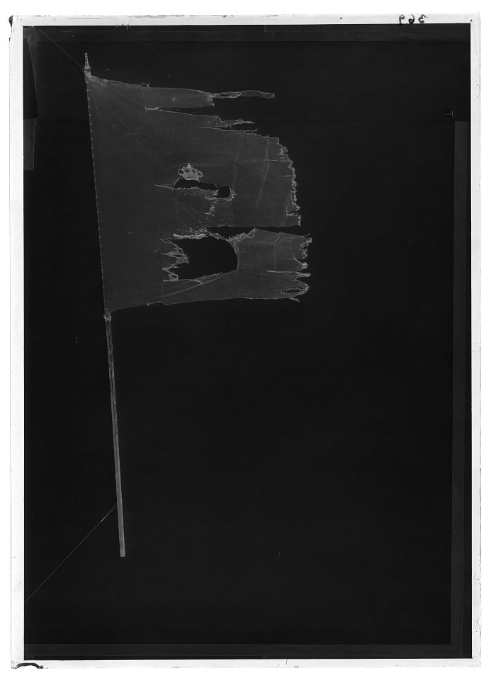 Kompanifana liv-o hustrupper - Livrustkammaren - 68922-negative