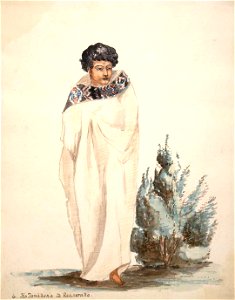 Ko Tamihana te Rauparaha, watercolour by Thomas Biddulph Hutton