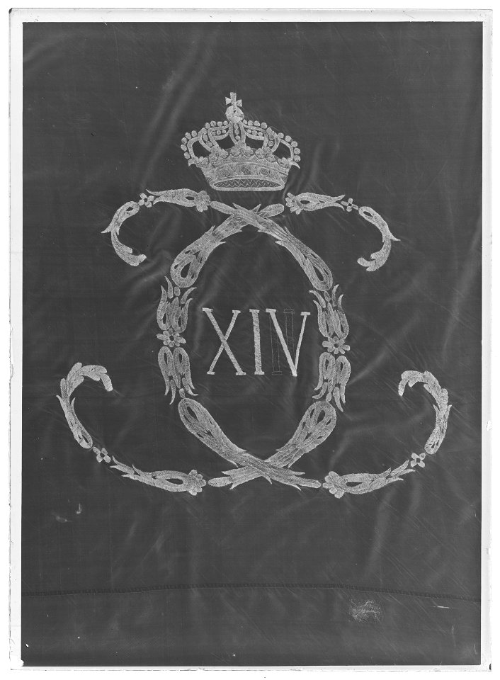 Kompanifana liv-o hustrupper - Livrustkammaren - 1015-negative