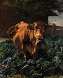 Krautgarten 1857