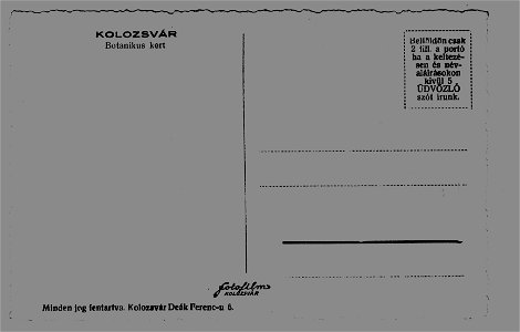 Kolozsvár (42)
