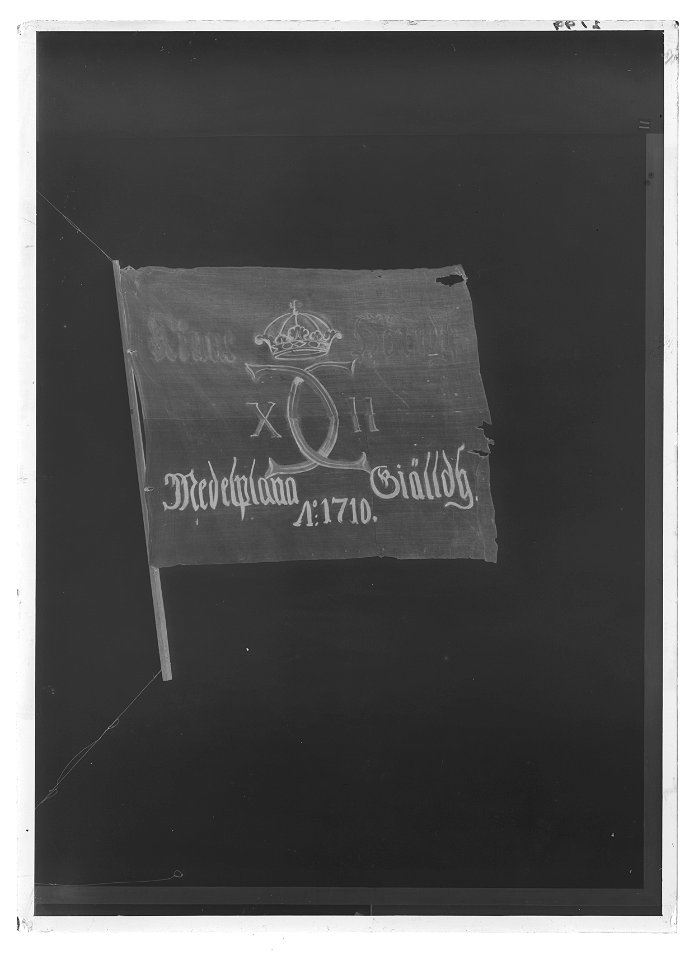 Kompanifana liv-o hustrupper - Livrustkammaren - 68903-negative