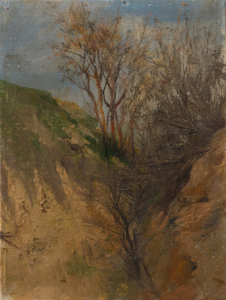 Ladislav Mednyánszky - Ditch - O 2920 - Slovak National Gallery