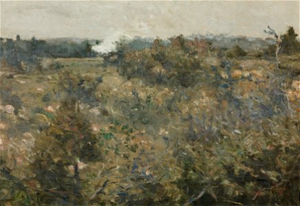 Landscape från Grez-sur-Loing. Study for NM 6809 (Karl Nordström) - Nationalmuseum - 22021