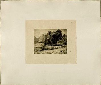 Landscape 1913 5