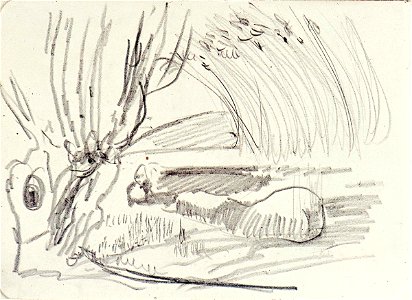 Landscape with Pollard Willow, Water and Reeds by Theo van Doesburg AB4282