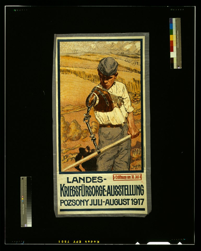 Landes-Kriegsfürsorge-Ausstellung - Sujan. LCCN2004666189
