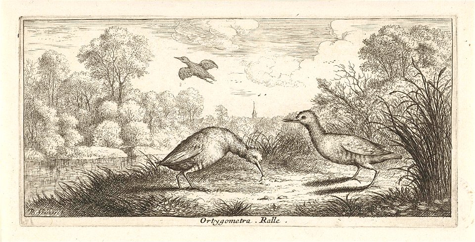 Landschap met twee rallen op een oever