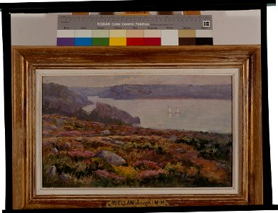 Lande fleurie - Joseph-Alexandre Ruellan - musée d'art et d'histoire de Saint-Brieuc, DOC 107