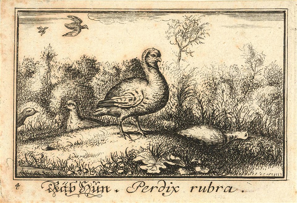 Landschap met patrijzen