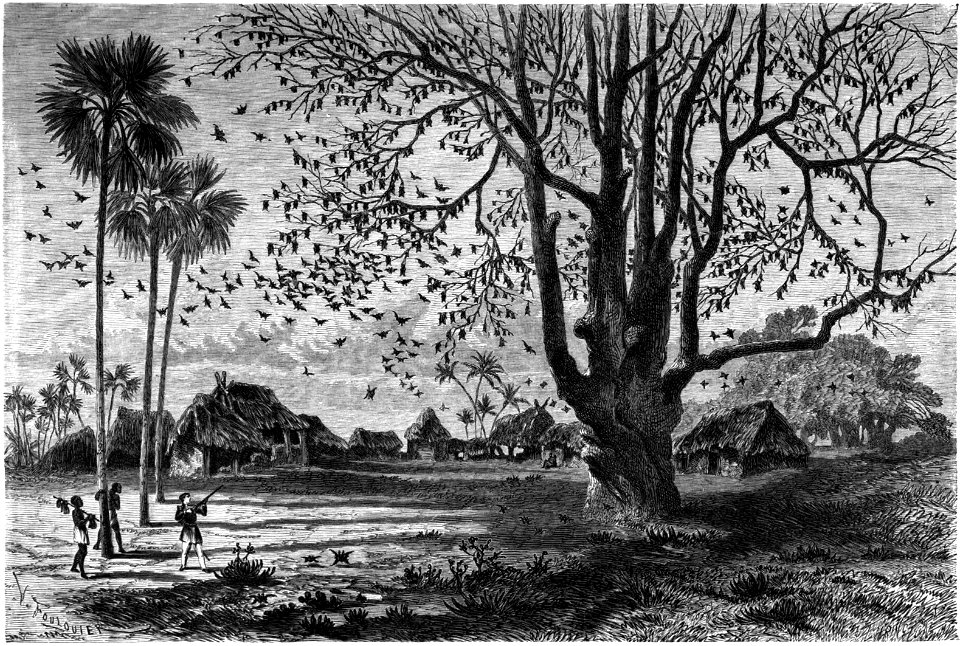 Le Tour du monde-07-p077