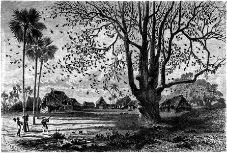 Le Tour du monde-07-p077
