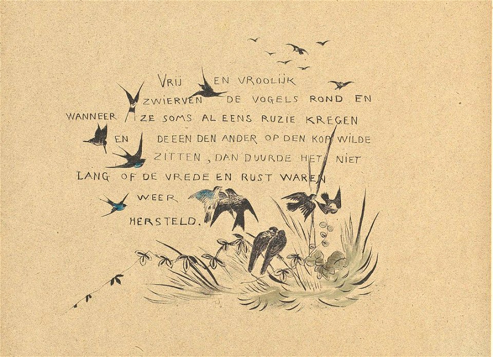 Leroidesoiseaux-04