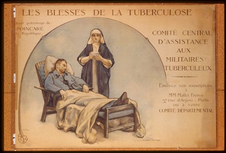 Les blessés de la tuberculose- Comité Central d'Assistance aux Militaires Tuberculeux LCCN99613537