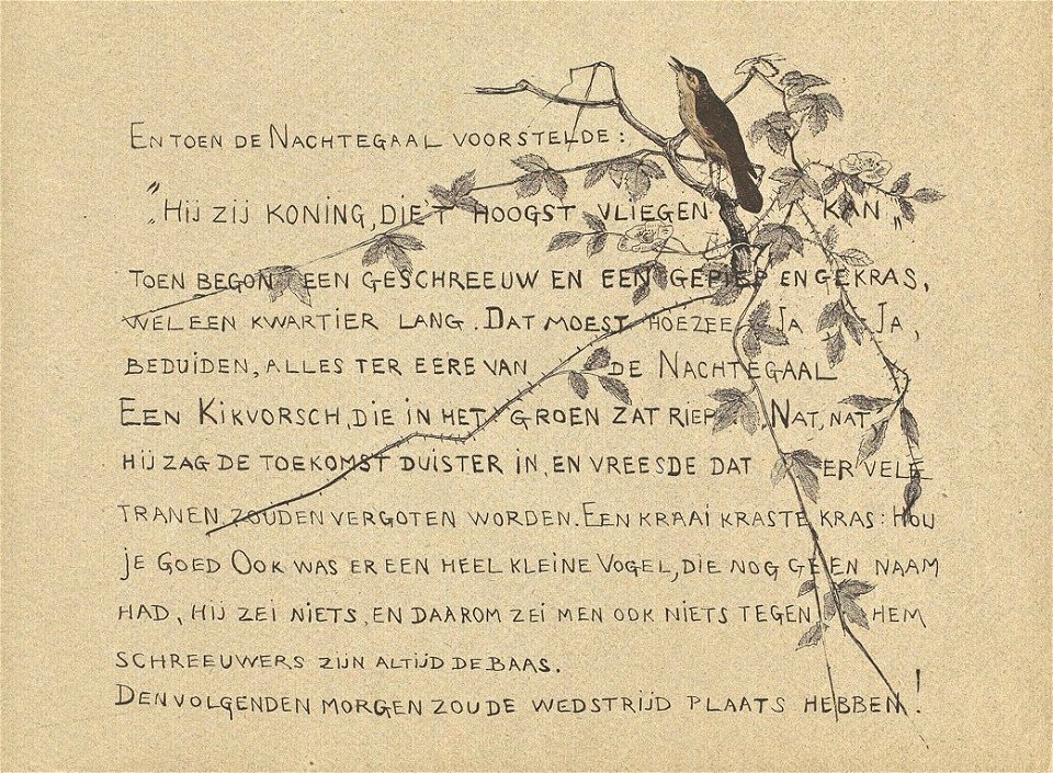 Leroidesoiseaux-11