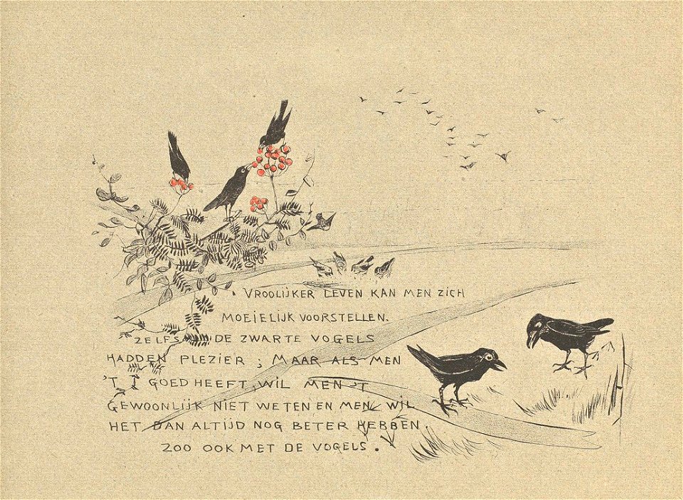 Leroidesoiseaux-05