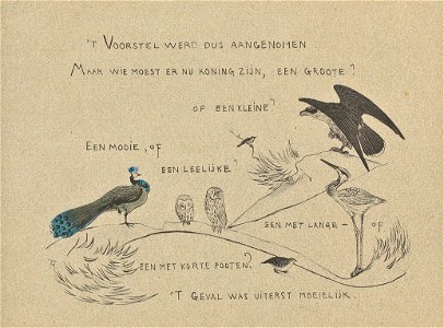 Leroidesoiseaux-09