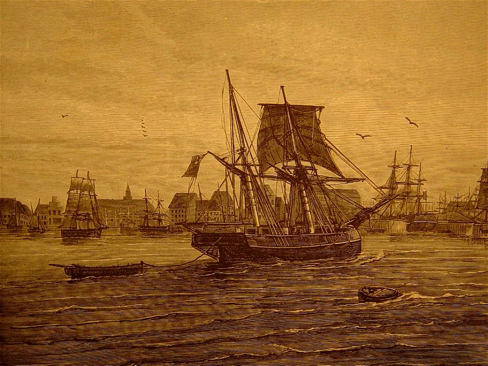 Les bassin d'Anvers