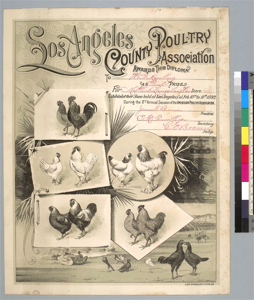 Los Angeles County Poultry Association exhibit award to H. G. Keesling at their show held from February 10th to 18th 1892 during the 17th Annual Session of the American Poultry Association, (Los Angeles Lithographic Company)