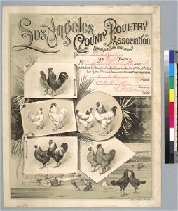 Los Angeles County Poultry Association exhibit award to H. G. Keesling at their show held from February 10th to 18th 1892 during the 17th Annual Session of the American Poultry Association, (Los Angeles Lithographic Company)