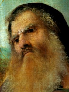 Lotto, pala di santo spirito 03, antonio abate