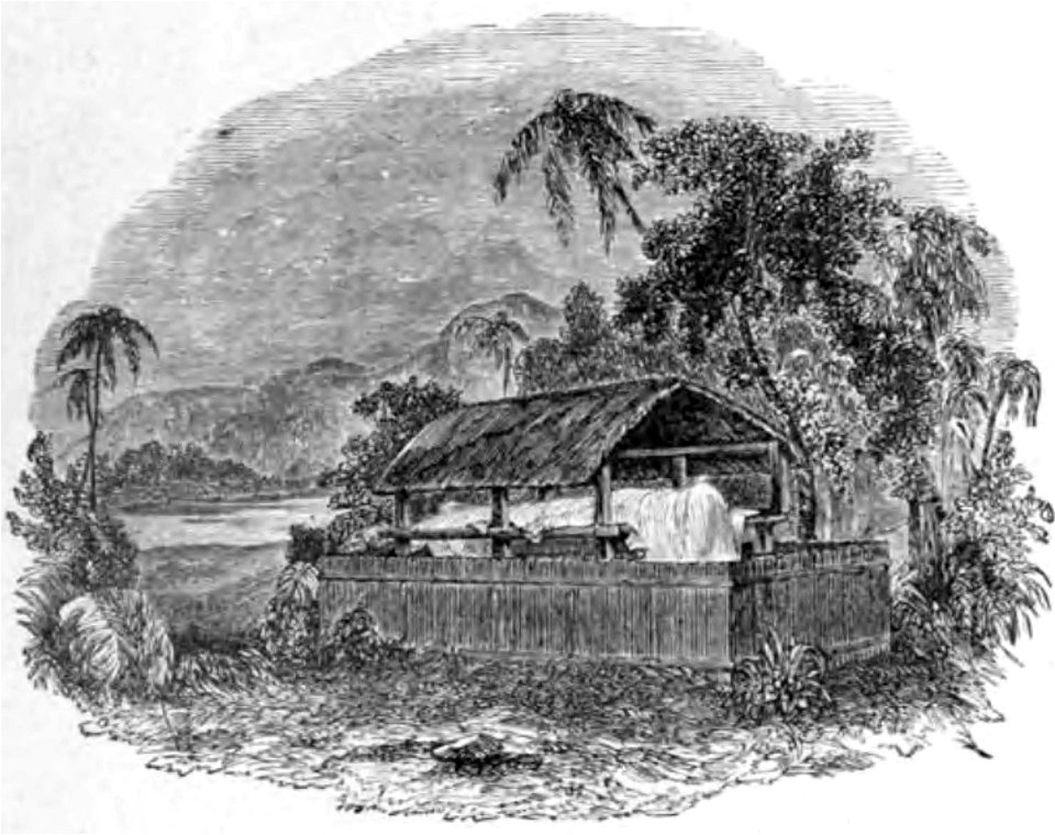 Louis Antoine de Bougainville - Voyage de Bougainville autour du monde (années 1766, 1767, 1768 et 1769), raconté par lui-même, 1889 (p173 crop)