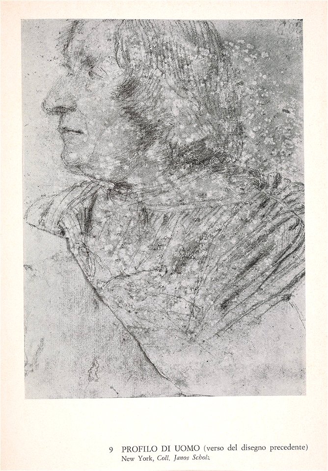 Lotto - Draped Male Figure Facing Right and Looking Upward, 1976.39 , 1527, v