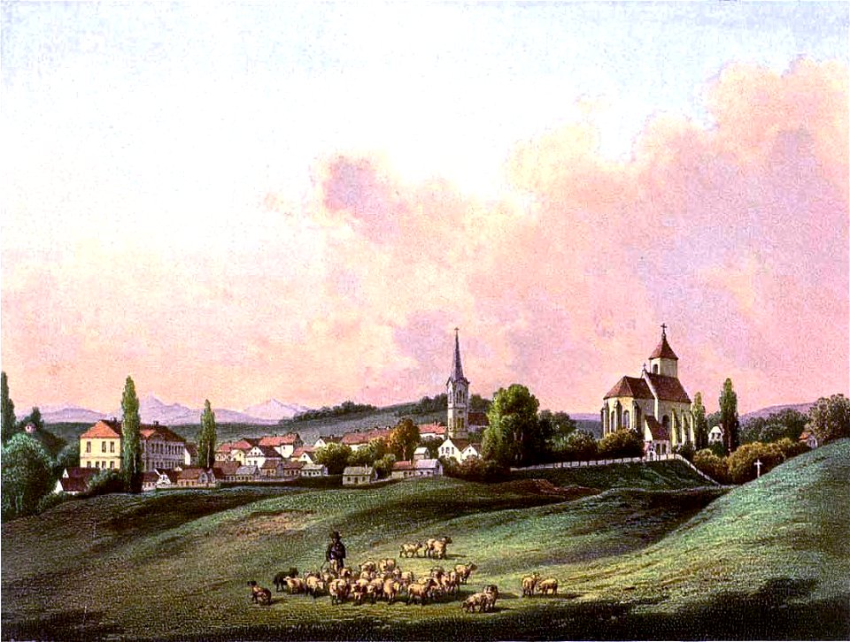 Loslau Sammlung Duncker