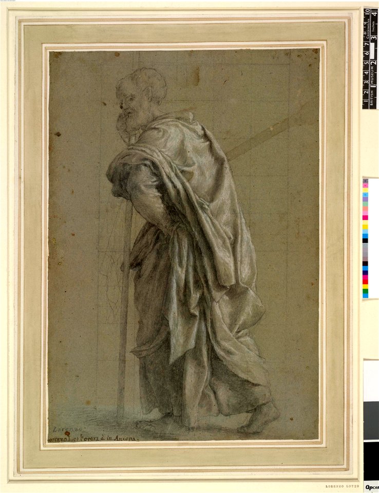 Lotto - St Simon, study for an altarpiece, 1958,1213.2