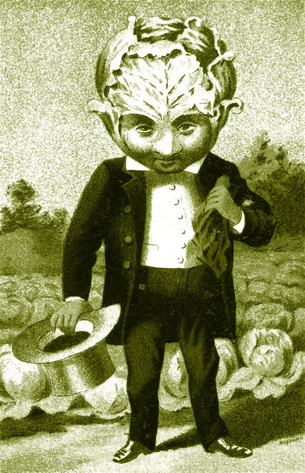 Lossy-page1-2447px-Bufford's vegetable cards, no. 790-6 (cabbage) - Bufford cropped