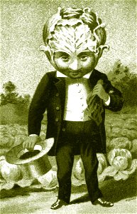 Lossy-page1-2447px-Bufford's vegetable cards, no. 790-6 (cabbage) - Bufford cropped
