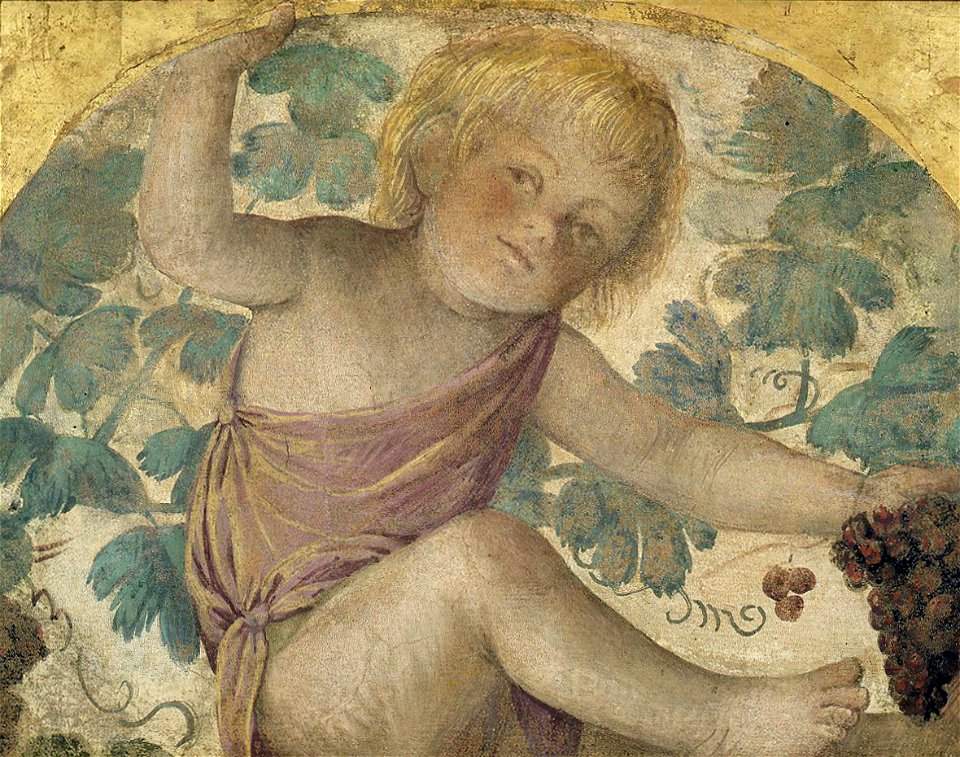 Luini - Putti Harvesting Grapes – Putto under a Vine Trellis, c. 1514, 7