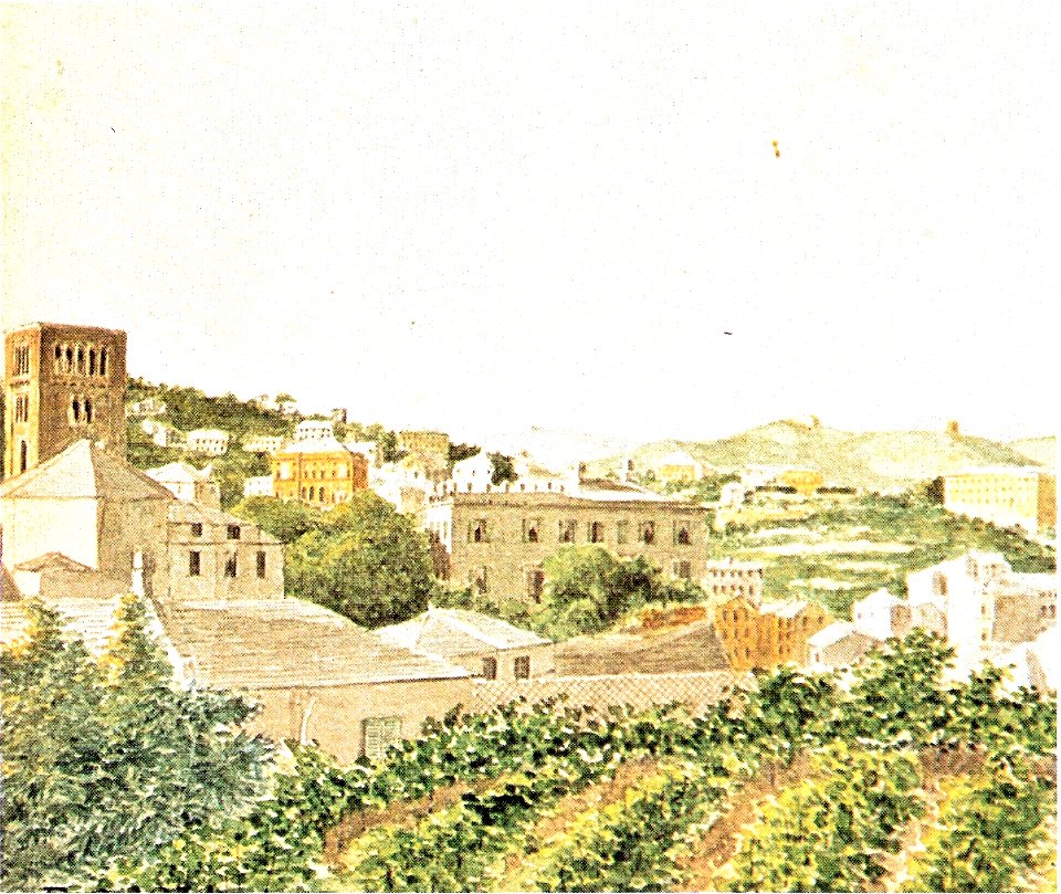 Luigi Garibbo-quartieri orientali di Genova dalle mura di Santa Chiara