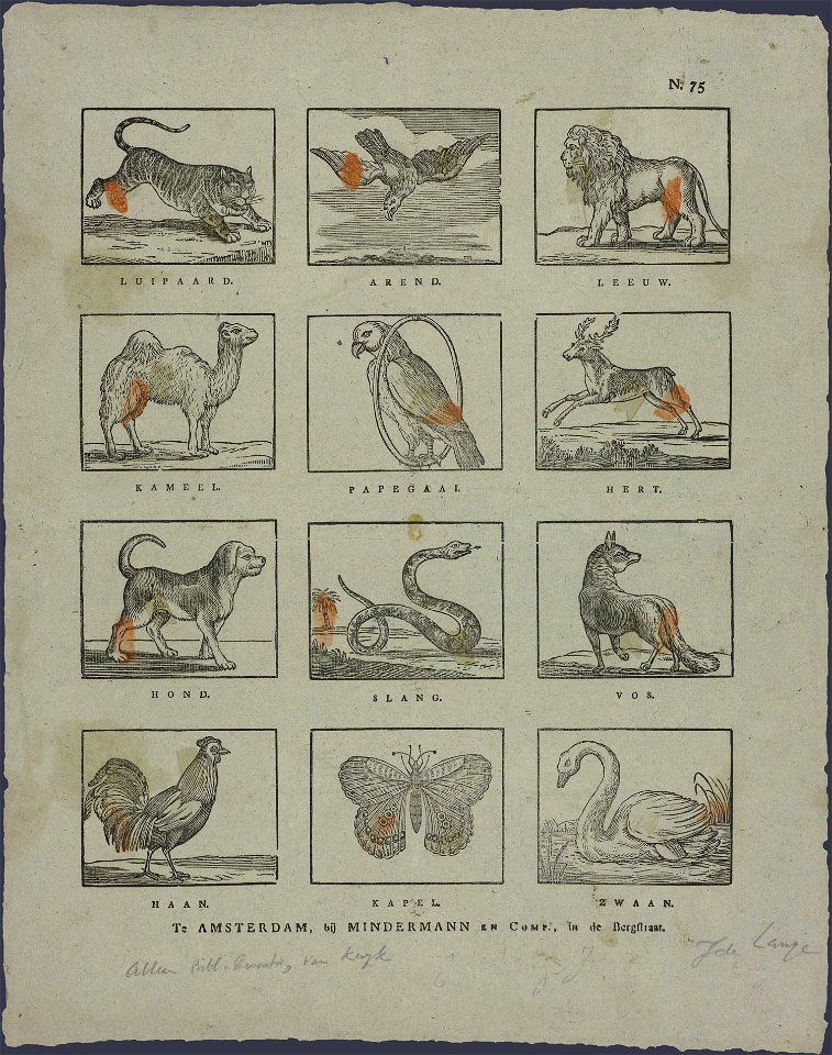 Luipaard, arend, leeuw, kameel-Catchpenny print-SMC K 0016
