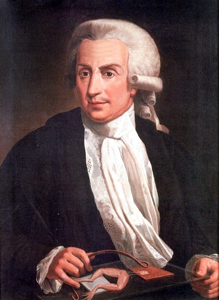Luigi Galvani, oil-painting