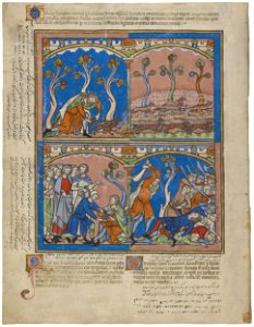 Maciejowski Bible - Morgan Library & Museum MS M.638, fol. 14v