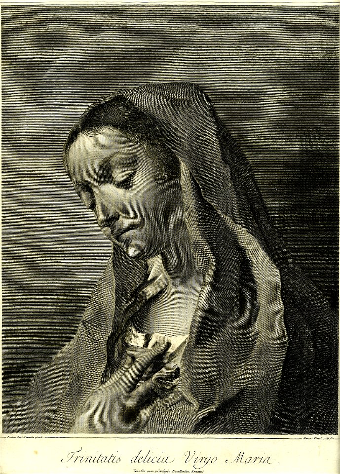 Marco Pitteri - Trinitatis delicia Virgo Maria, 1856,0614.8
