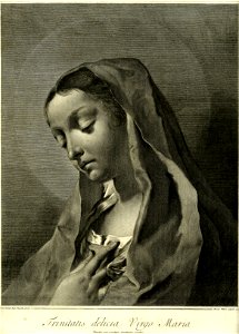Marco Pitteri - Trinitatis delicia Virgo Maria, 1856,0614.8